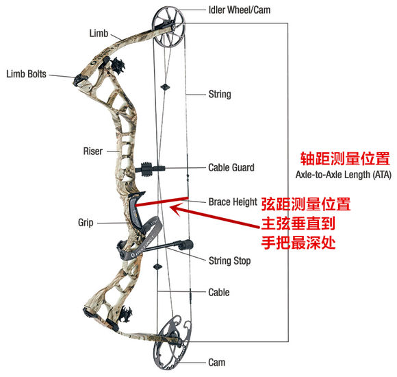 复合弓玩了那么久还不会调弓？想学吗？
