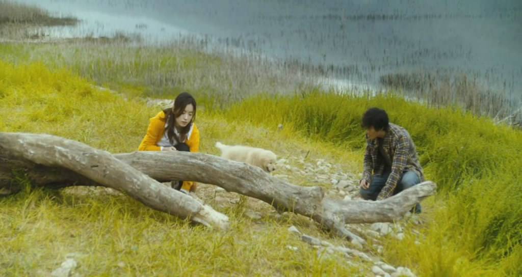 韩国爱情催泪片段超级虐心,催泪虐心爱情韩国电影推荐