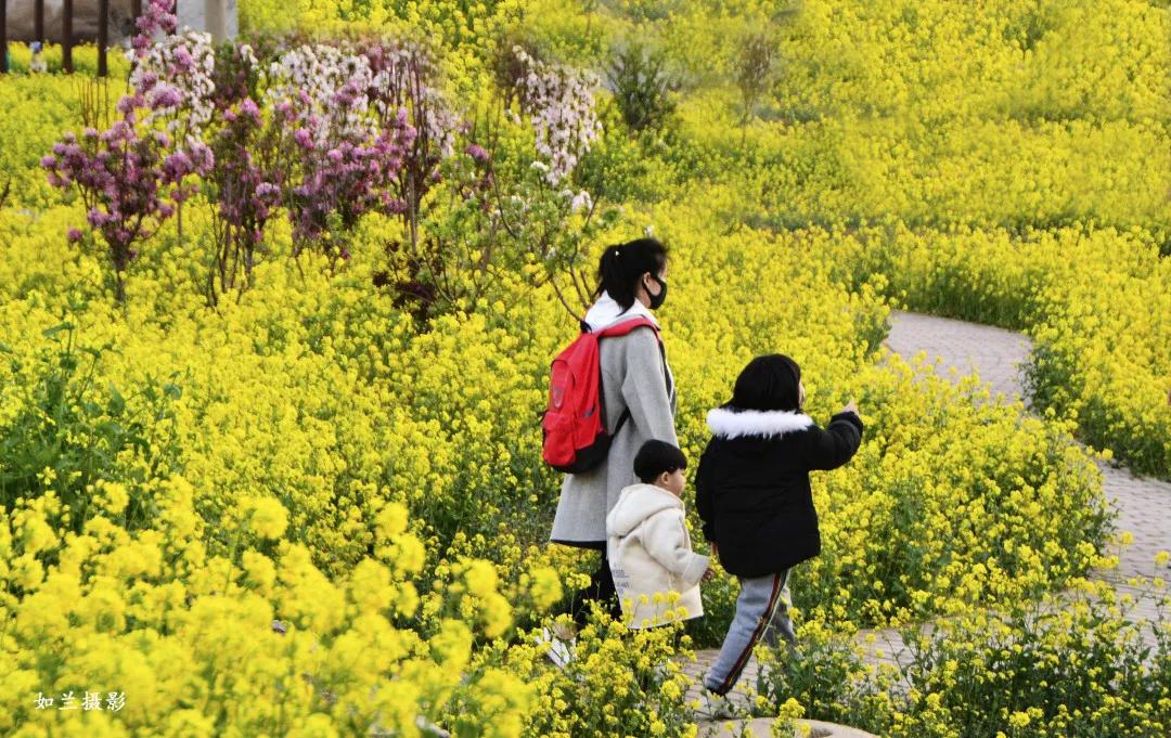 花团锦簇的峰峰是怎样炼成的？是时候告诉你真相了