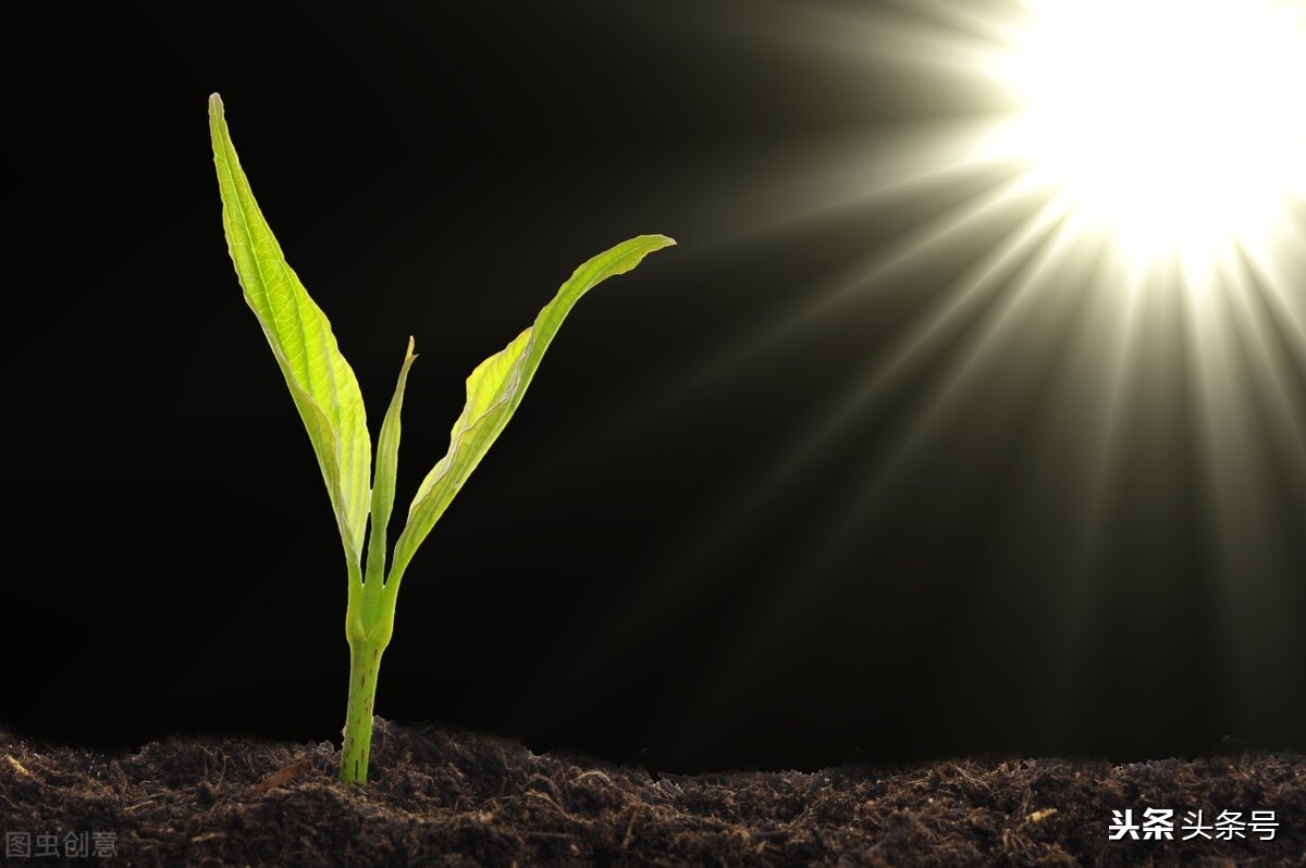 阳气对生命的好处,阳气对人体有什么作用