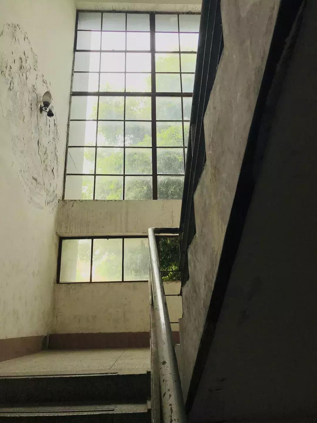 每个郫筒二小毕业的，都是在石牛公园耍大的