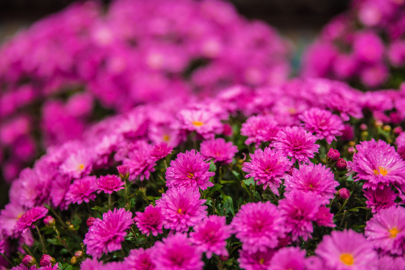 常州周边最新一日游景点推荐,常州自驾游景点推荐一下
