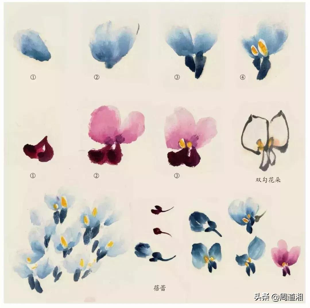 国画花卉大全教程视频,花卉小品国画图片大全