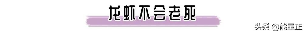 颠覆你认知的16个买房冷知识,颠覆认知的冷知识