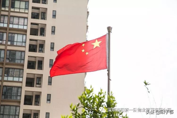 锦田湾我是护旗手,我是护旗手主题活动