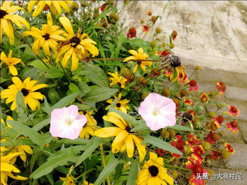 蹲的时间长一站起来头晕,蹲的时间长站起来突然晕一下