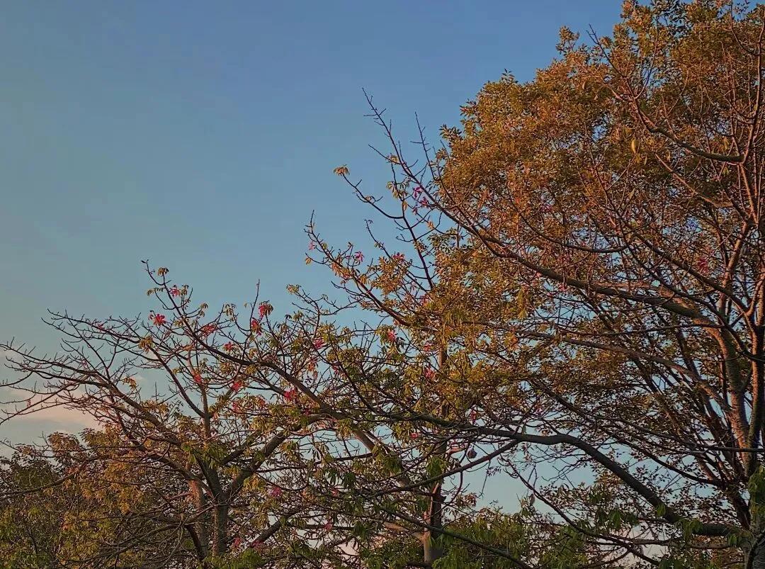 看,这是属于泉信的秋韵