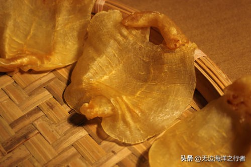 鳘鱼胶怎么做最好吃,鳘鱼胶的最佳做法大全