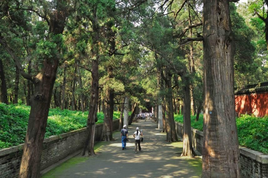 曲阜孔子墓全景,山东曲阜千年古村孔子墓