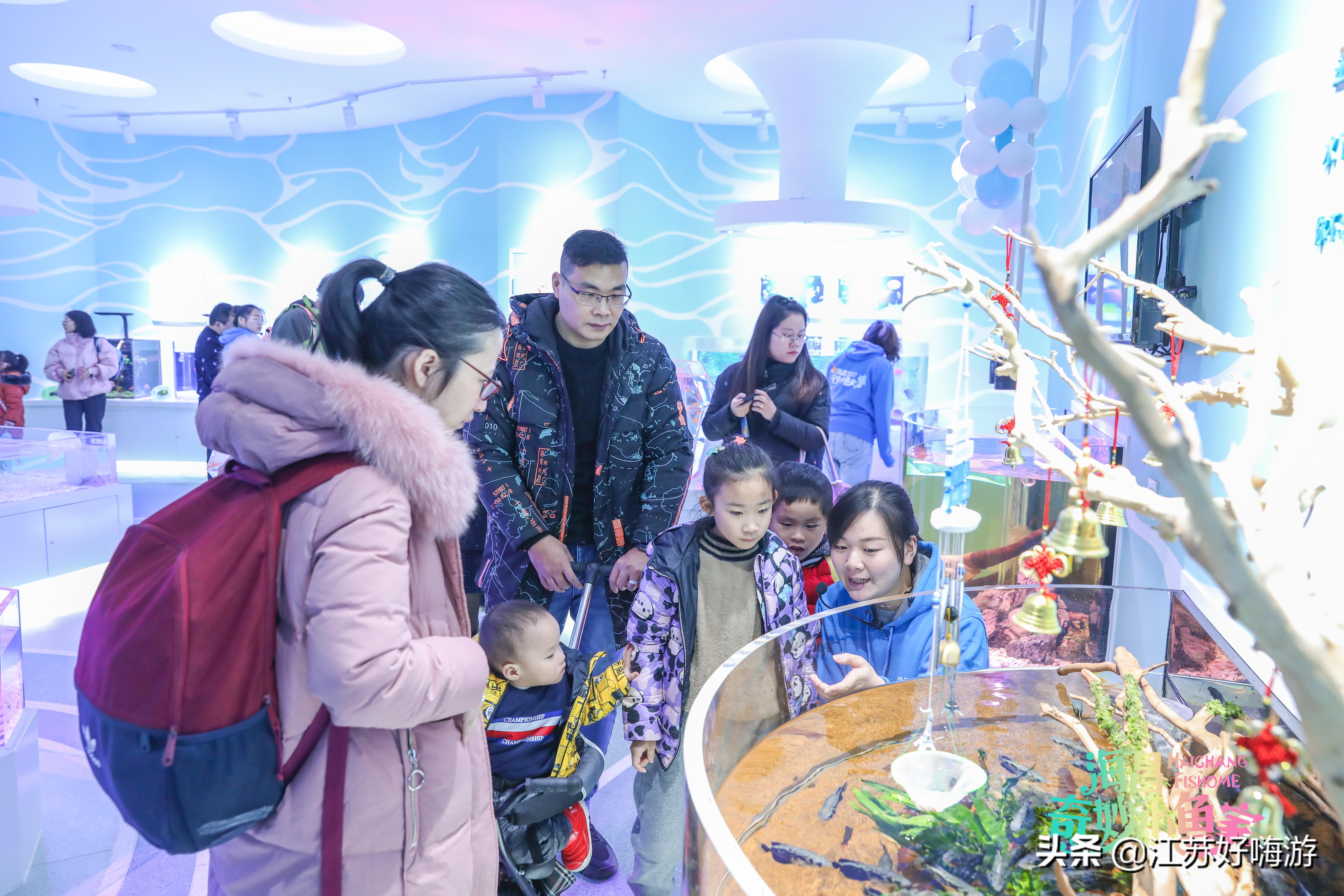 Fishome海昌奇妙小鱼家——海昌InMall类都市新业态南京“落户”