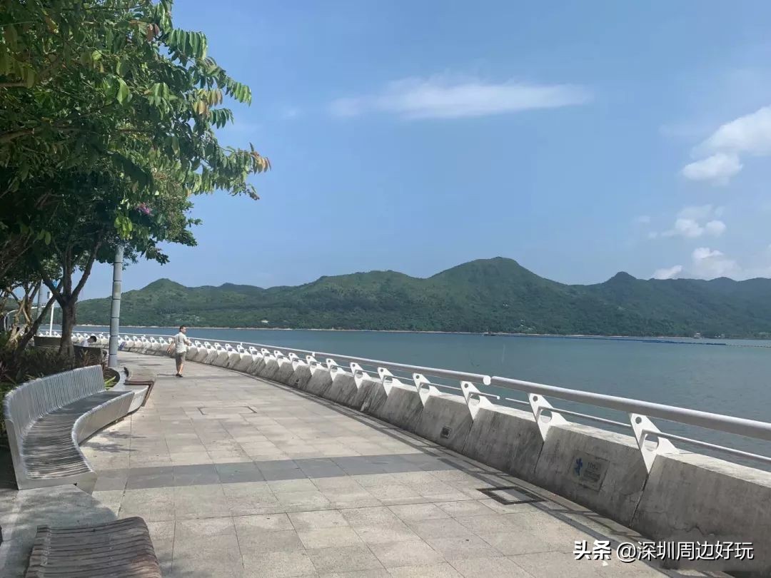 去香港买东西有必要去免税店买吗,去香港有必要逛免税店没