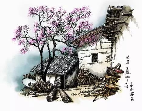 中国十大写实钢笔画作品,中国公认最漂亮钢笔字行草