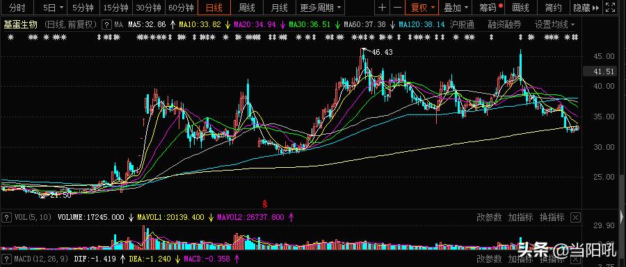 603387基蛋生物走势分析,2024年基蛋生物分红公告