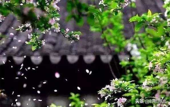 十首顶级哲理诗词名句,经典诗句励志古诗句