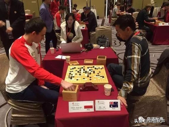 马特乌斯围棋什么水平,波兰围棋高手马特乌斯