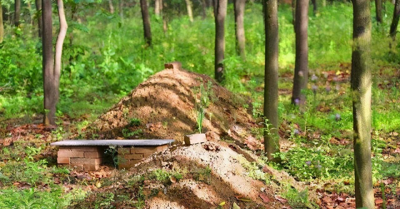 骨灰多年后会变成什么样,骨灰长时间会变成什么样