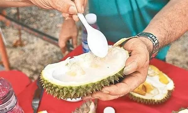 马来西亚哪里榴莲好吃又便宜,马来西亚39块钱榴莲自助