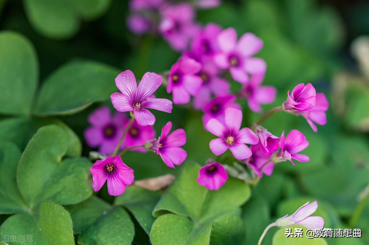 电摩中途没电怎么解决,车子中途没电了怎么办