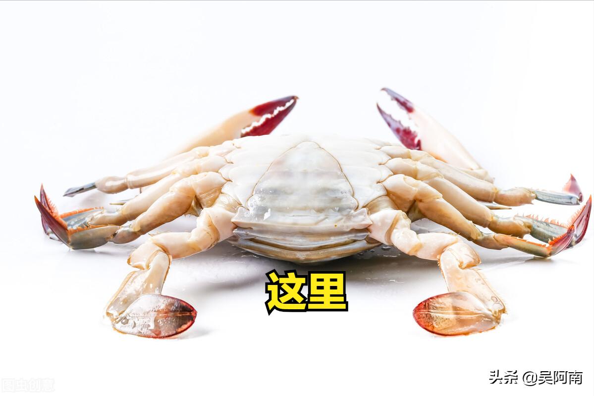 什么时候的螃蟹最肥美,教你挑选螃蟹的8个技巧
