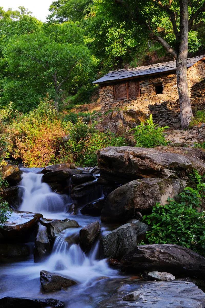 探寻世外桃源,凤庆滇红茶景区