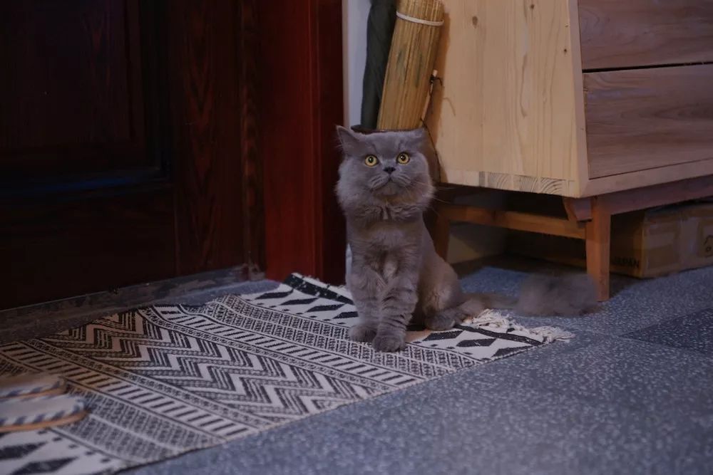 用水泥砌橱柜,用粘土捏一个好看的柜子