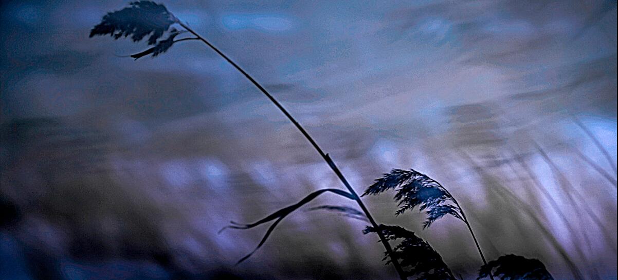 十二指肠恶性肿瘤转移到肝癌,十二指肠腺癌肝转移患者经历