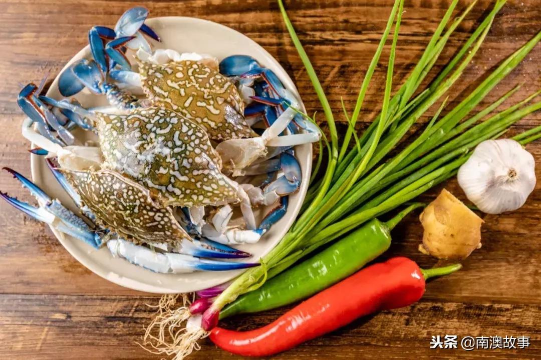 南澳岛渔民捕捞视频,南澳岛渔船捕捞