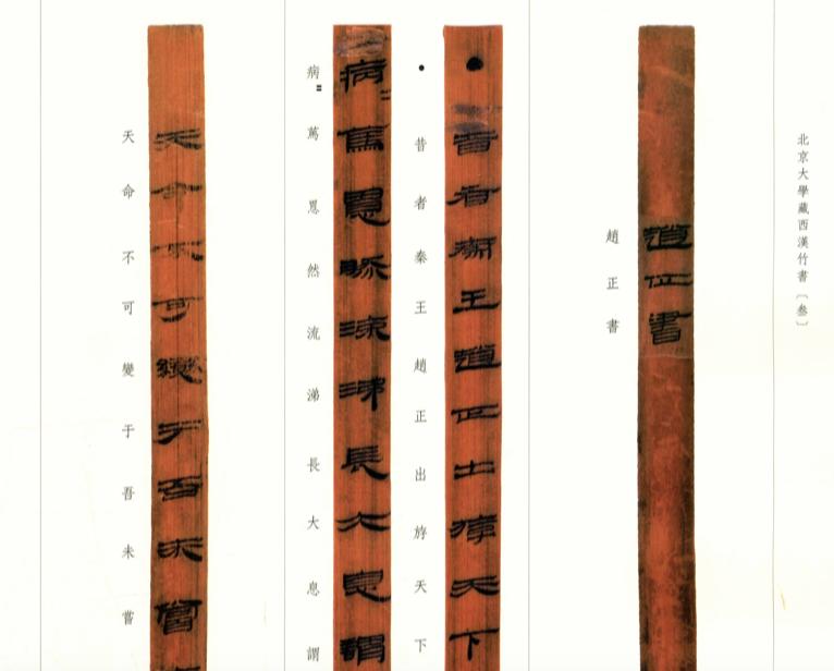 我妈才是最有资格批评《大秦赋》的人