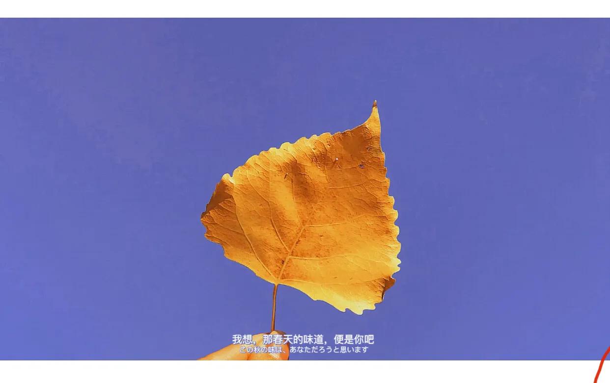 用黄油相机黑金调色教程,黄油相机风景调色