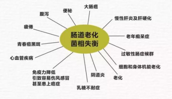如何分辨肠道是否健康,肠道疾病怎样识别