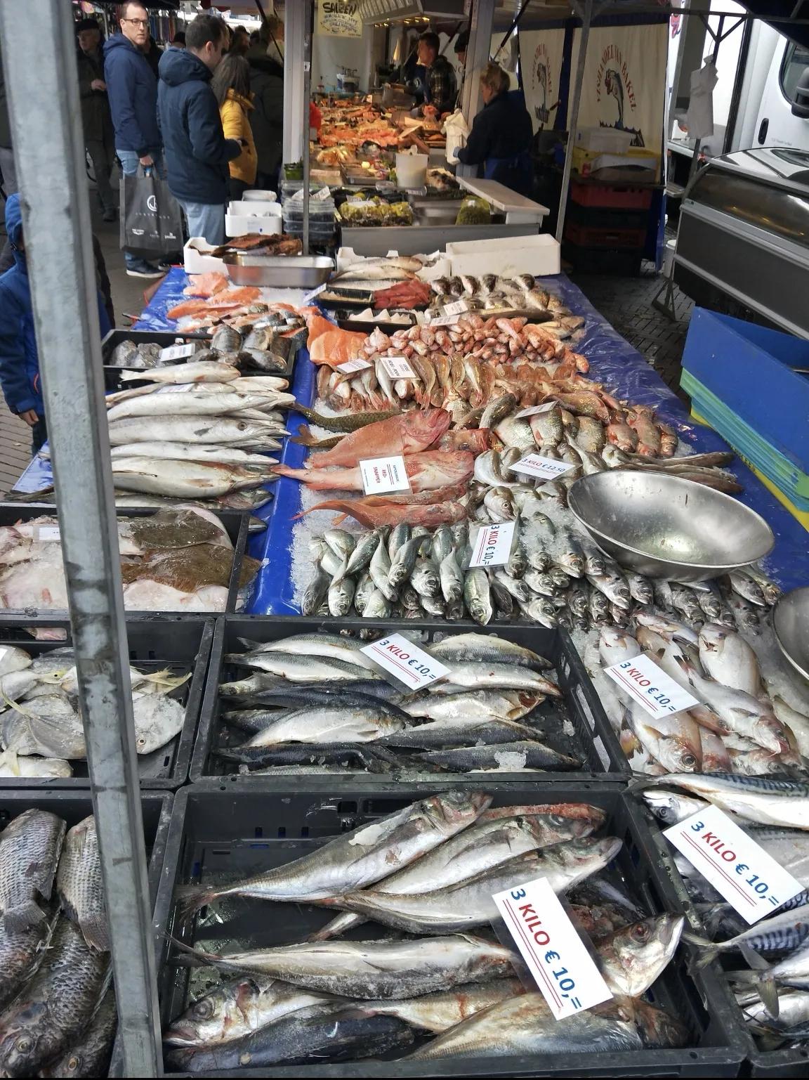 第一天去荷兰旅行,到荷兰的第一天