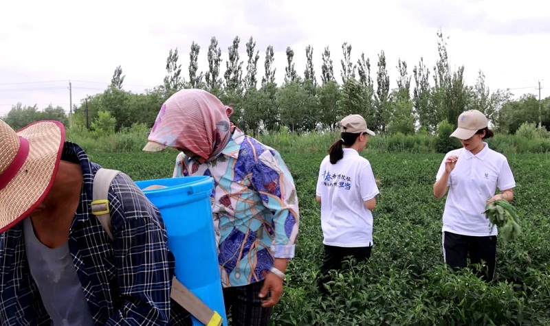 金智惠民学子下乡活动方案,建设银行金智惠民活动持续开展