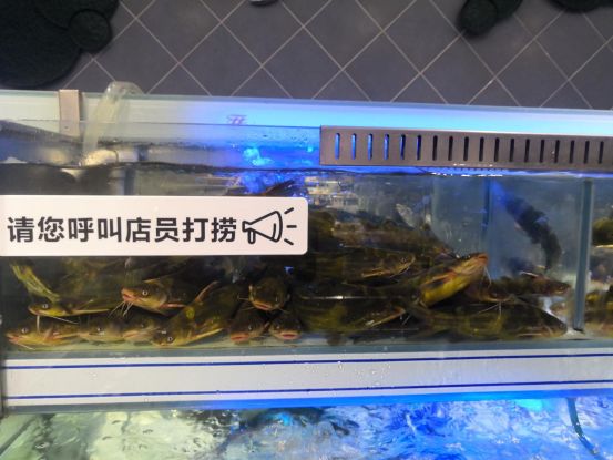 costco和山姆与胖东来哪个好,costco和胖东来的商业模式