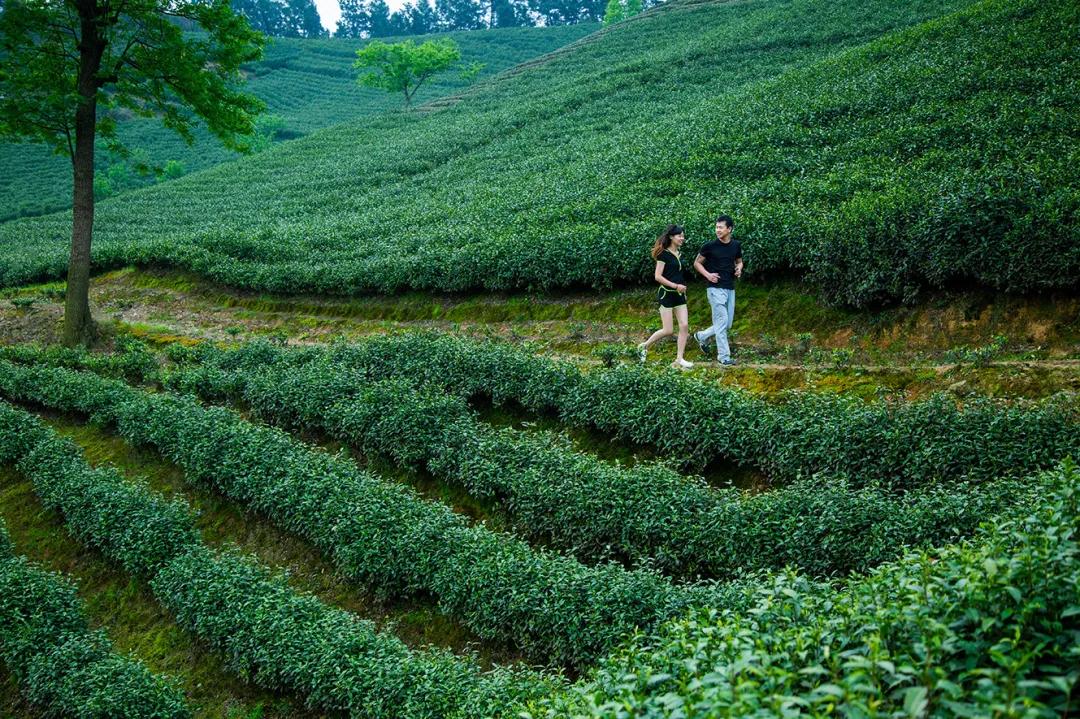 安吉君澜度假酒店周围有什么景点,安吉君澜度假酒店团购