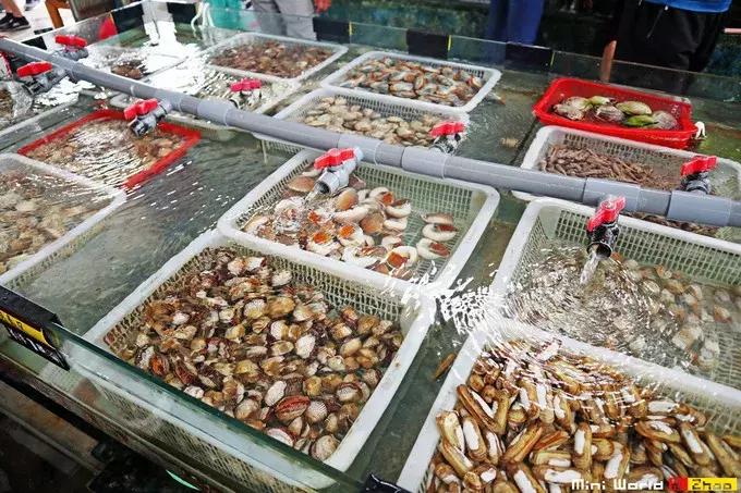 藏在日照的海边，竟然有一处世外桃源，赶海，捕鱼，温馨民宿……