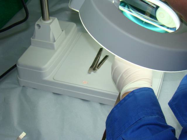 磁光材料原理,科普知识什么是磁场