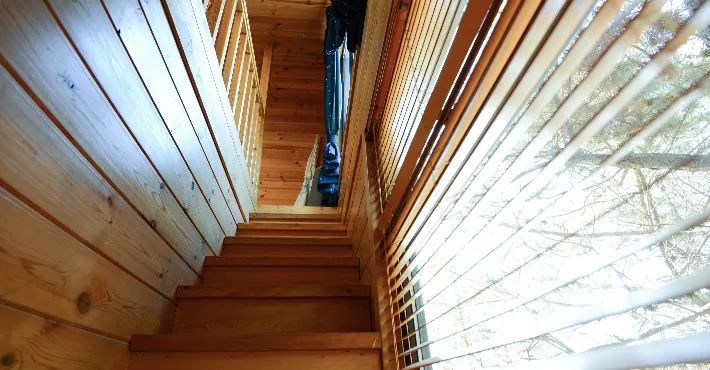 真正的森林树屋,这些树屋满足你对森林的所有幻想