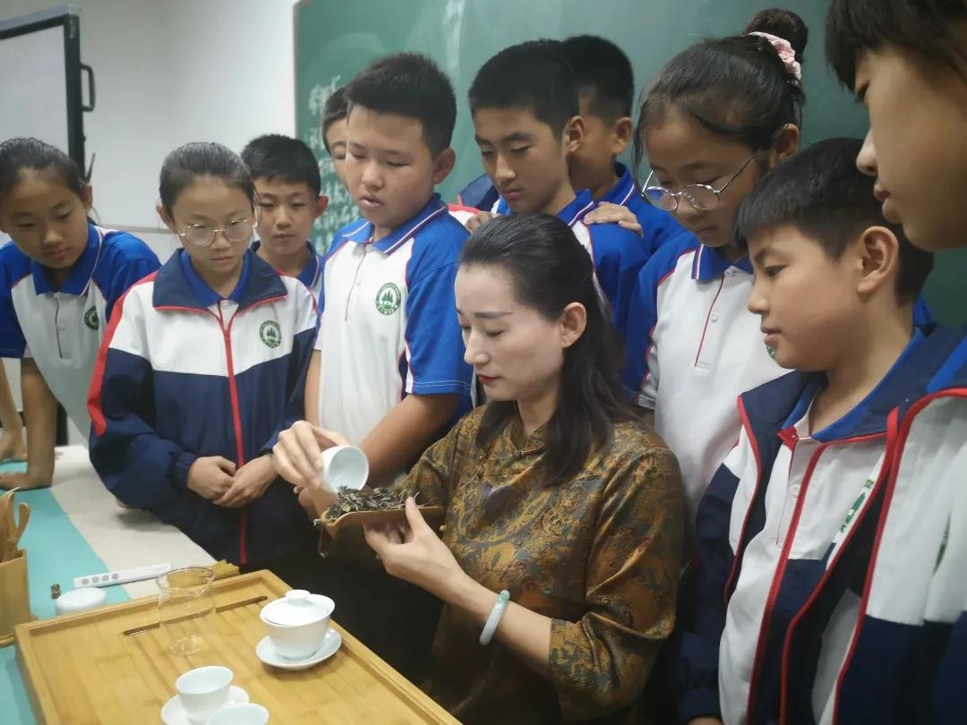 271教育适合什么样的孩子,271教育理念