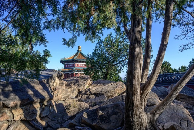 尼康z50mmf1.8,尼康定焦50mmf1.8g镜头拍照效果