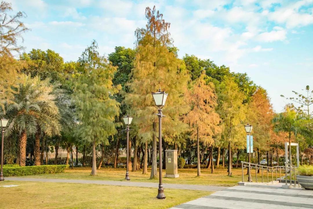 深圳旅游攻略一日游路线推荐,深圳自驾游一日游最佳路线图