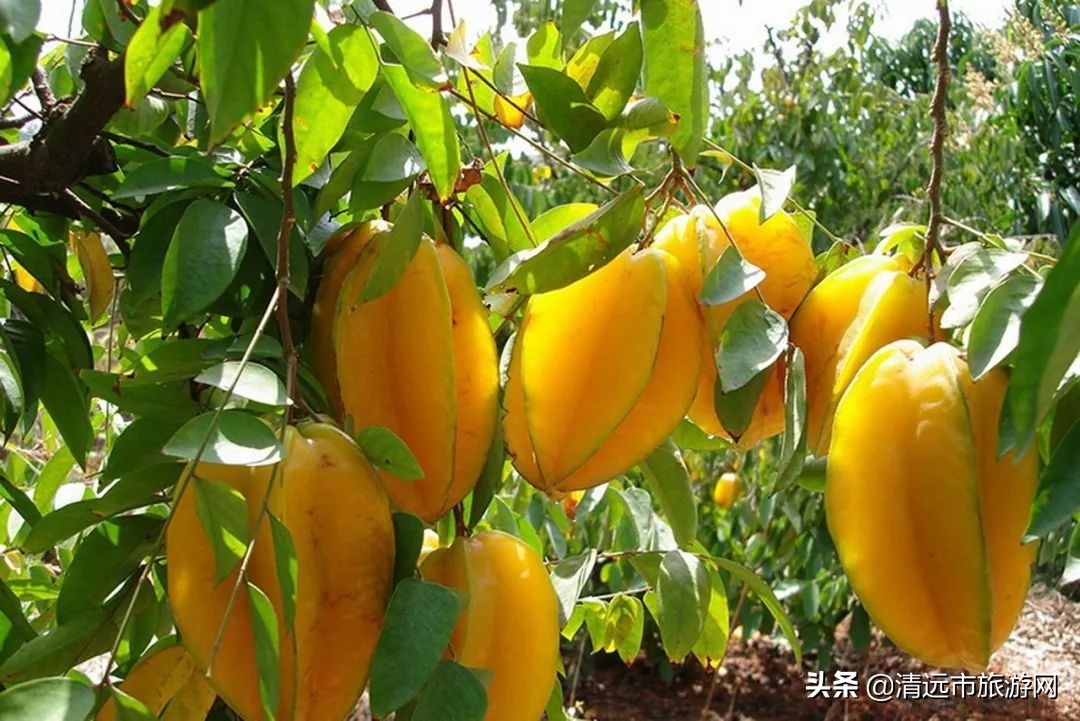 寒假亲子游推荐4-5天游,暑假亲子游玩地点推荐3天2夜