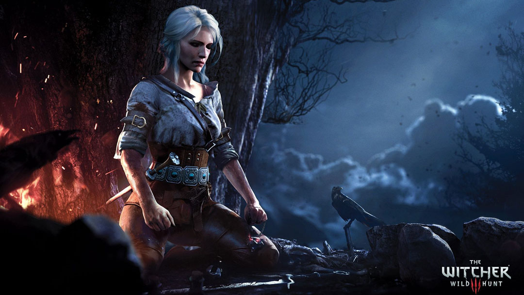 波兰蠢驴巫师三介绍,巫师3为什么说是波兰蠢驴