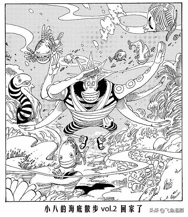 海贼王小八的海底漫步,海贼王里小八的海贼团图标