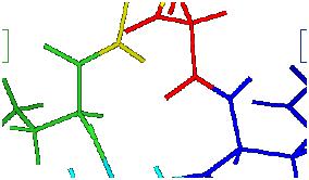 酵母和酵素的常识及区别
