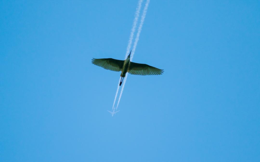 香港第14届全国摄影艺术展,第29届全国摄影艺术展览获奖名单