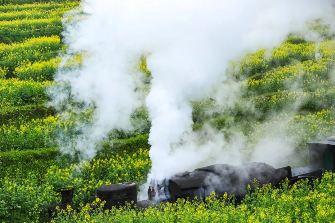 全世界唯一在运行的蒸汽小火车,经典窄轨蒸汽机车