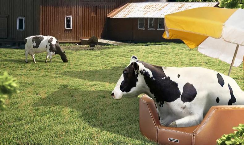 房地产大佬2000亿,房地产大佬卖猪肉