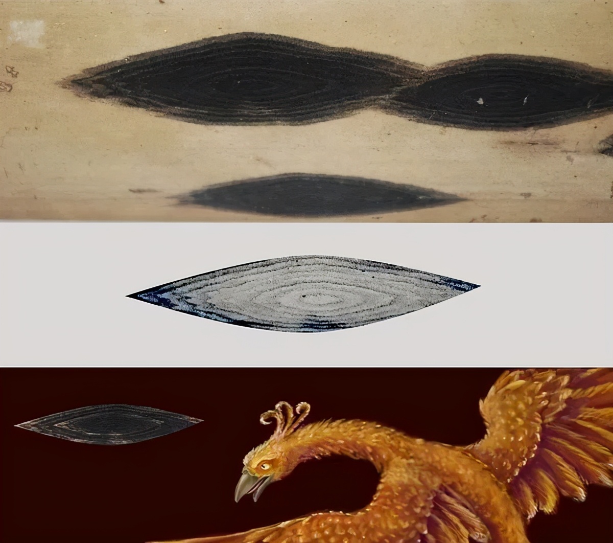 湘妃竹为什么贵,湘妃竹由来