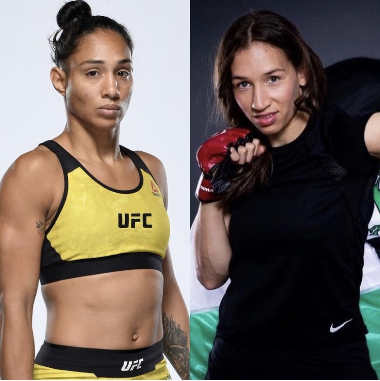 ufc重磅赛事发布,ufc最新比赛270