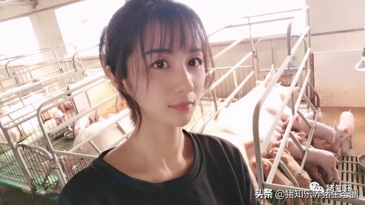 从控制的角度认识非瘟,中小型猪场非洲猪瘟详细对策—猪知乐转载